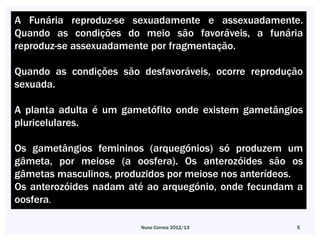 A Funária reproduz-se sexuadamente e assexuadamente.
Quando as condições do meio são favoráveis, a funária
reproduz-se assexuadamente por fragmentação.

Quando as condições são desfavoráveis, ocorre reprodução
sexuada.

A planta adulta é um gametófito onde existem gametângios
pluricelulares.

Os gametângios femininos (arquegónios) só produzem um
gâmeta, por meiose (a oosfera). Os anterozóides são os
gâmetas masculinos, produzidos por meiose nos anterídeos.
Os anterozóides nadam até ao arquegónio, onde fecundam a
oosfera.

                         Nuno Correia 2012/13          5
 