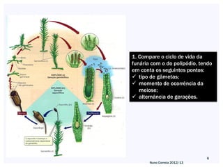 1. Compare o ciclo de vida da
funária com o do polipódio, tendo
em conta os seguintes pontos:
 tipo de gâmetas;
 momento de ocorrência da
   meiose;
 alternância de gerações.




                              6
       Nuno Correia 2012/13
 