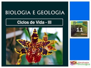 BIOLOGIA E GEOLOGIA
   Ciclos de Vida - III
                          11
 