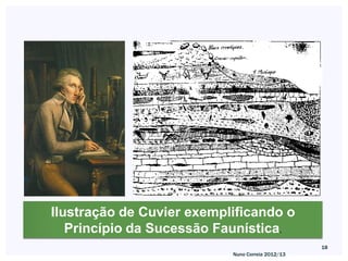 Ilustração de Cuvier exemplificando o
   Princípio da Sucessão Faunística.
                                                  18
                           Nuno Correia 2012/13
 