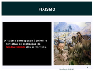 FIXISMO




O fixismo corresponde à primeira
  tentativa de explicação da
  biodiversidade dos seres vivos.




                                                           8
                                    Nuno Correia 2012/13
 