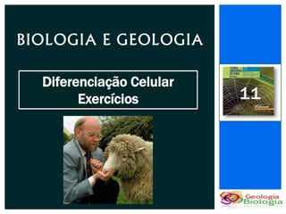 BIOLOGIA E GEOLOGIA

  Diferenciação Celular
        Exercícios        11
 