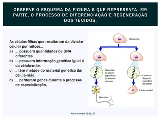 OBSE RVE O E SQUE MA DA F I G URA 8 QUE RE P RE SE NTA , E M
  PA RT E, O P ROC E SSO DE DI F E RE NCIAÇ ÃO E RE G E N ERAÇÃO
                          DOS T E C I DOS.



As células-filhas que resultaram da divisão
celular por mitose...
a) ... possuem quantidades de DNA
   diferentes.
b) ... possuem informação genética igual à
   da célula-mãe.
c) .. têm metade do material genético da
   célula-mãe.
d) ... perderam genes durante o processo
   de especialização.




                                   Nuno Correia 2012/13
 