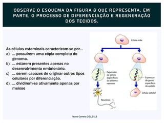 OBSE RVE O E SQUE MA DA F I G URA 8 QUE RE P RE SE NTA , E M
    PA RT E, O P ROC E SSO DE DI F E RE NCIAÇ ÃO E RE G E N ERAÇÃO
                            DOS T E C I DOS.




As células estaminais caracterizam-se por...
a) ... possuírem uma cópia completa do
   genoma.
b) ... estarem presentes apenas no
   desenvolvimento embrionário.
c) ... serem capazes de originar outros tipos
   celulares por diferenciação.
d) ... dividirem-se ativamente apenas por
   meiose




                                      Nuno Correia 2012/13
 