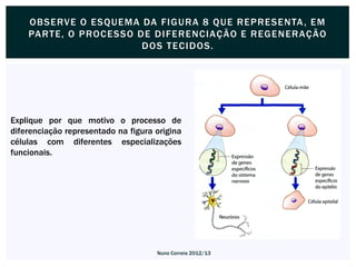 OBSE RVE O E SQUE MA DA F I G URA 8 QUE RE P RE SE NTA , E M
    PA RT E, O P ROC E SSO DE DI F E RE NCIAÇ ÃO E RE G E N ERAÇÃO
                            DOS T E C I DOS.




Explique por que motivo o processo de
diferenciação representado na figura origina
células com diferentes especializações
funcionais.




                                     Nuno Correia 2012/13
 