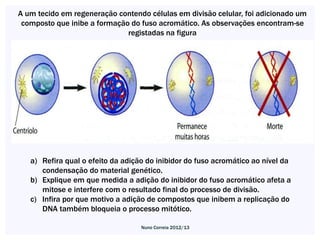 A um tecido em regeneração contendo células em divisão celular, foi adicionado um
 composto que inibe a formação do fuso acromático. As observações encontram-se
                              registadas na figura




   a) Refira qual o efeito da adição do inibidor do fuso acromático ao nível da
      condensação do material genético.
   b) Explique em que medida a adição do inibidor do fuso acromático afeta a
      mitose e interfere com o resultado final do processo de divisão.
   c) Infira por que motivo a adição de compostos que inibem a replicação do
      DNA também bloqueia o processo mitótico.

                                   Nuno Correia 2012/13
 