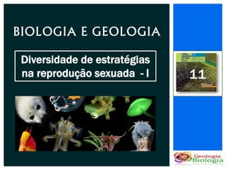 BIOLOGIA E GEOLOGIA

 Diversidade de estratégias
 na reprodução sexuada - I    11
 