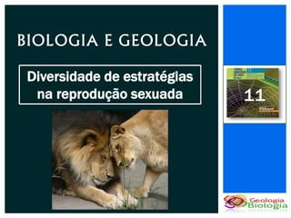 BIOLOGIA E GEOLOGIA

 Diversidade de estratégias
  na reprodução sexuada       11
 