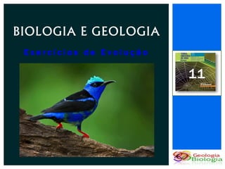 BIOLOGIA E GEOLOGIA
 Exercícios de Evolução

                          11
 