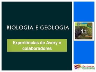 BIOLOGIA E GEOLOGIA
                           11
 Experiências de Avery e
     colaboradores
 