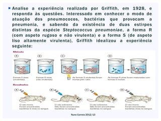  Analise a experiência realizada por Griffith, em 1928, e
  responda às questões. Interessado em conhecer o modo de
  atuação dos pneumococos, bactérias que provocam a
  pneumonia, e sabendo da existência de duas estirpes
  distintas da espécie Steptococcus pneumoniae, a forma R
  (com aspeto rugoso e não virulenta) e a forma S (de aspeto
  liso altamente virulenta), Grif fith idealizou a experiência
  seguinte:




                           Nuno Correia 2012/13
 
