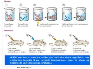 Griffith concluiu, a partir da análise dos resultados desta experiência, que
existia nas bactérias S um «princípio transformante» capaz de alterar as
bactérias R. Comente as suas conclusões.
      Nuno Correia 2012/13
 