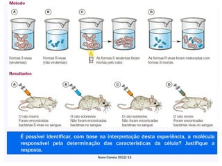 É possível identificar, com base na interpretação desta experiência, a molécula
responsável pela determinação das características da célula? Justifique a
resposta.
                               Nuno Correia 2012/13
 