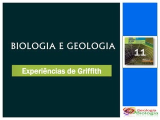BIOLOGIA E GEOLOGIA
                             11
  Experiências de Griffith
 