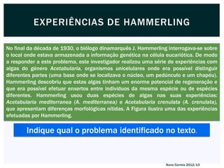 EXPERIÊNCIAS DE HAMMERLING

No final da década de 1930, o biólogo dinamarquês J. Hammerling interrogava-se sobre
o local onde estava armazenada a informação genética na célula eucariótica. De modo
a responder a este problema, este investigador realizou uma série de experiências com
algas do género Acetabularia, organismos unicelulares onde era possível distinguir
diferentes partes (uma base onde se localizava o núcleo, um pedúnculo e um chapéu).
Hammerling descobriu que estas algas tinham um enorme potencial de regeneração e
que era possível efetuar enxertos entre indivíduos da mesma espécie ou de espécies
diferentes. Hammerling usou duas espécies de algas nas suas experiências:
Acetabularia mediterranea (A. mediterranea) e Acetabularia crenulata (A. crenulata),
que apresentam diferenças morfológicas nítidas. A Figura ilustra uma das experiências
efetuadas por Hammerling.

        Indique qual o problema identificado no texto.


                                                                Nuno Correia 2012/13
 