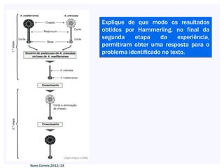Explique de que modo os resultados
                       obtidos por Hammerling, no final da
                       segunda    etapa     da     experiência,
                       permitiram obter uma resposta para o
                       problema identificado no texto.




Nuno Correia 2012/13
 