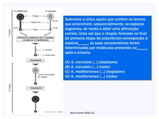 Selecione a única opção que contém os termos
que preenchem, sequencialmente, os espaços
seguintes, de modo a obter uma afirmação
correta. Uma vez que o chapéu formado no final
da primeira etapa da experiência correspondia à
espécie_____, as suas características foram
determinadas por moléculas presentes no_____,
após o enxerto.

(A) A. crenulata [...] citoplasma
(B) A. crenulata [...] núcleo
(C) A. mediterranea [...] citoplasma
(D) A. mediterranea [...] núcleo




   Nuno Correia 2012/13
 