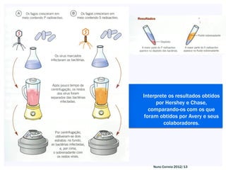 Interprete os resultados obtidos
      por Hershey e Chase,
   comparando-os com os que
 foram obtidos por Avery e seus
         colaboradores.




    Nuno Correia 2012/13
 