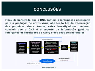 CONCLUSÕES

Ficou demonstrado que o DNA contém a informação necessária
para a produção de novos vírus, não tendo havido intervenção
das proteínas virais. Assim, estes investigadores puderam
concluir que o DNA é o suporte da informação genética,
reforçando os resultados de Avery e dos seus colaboradores.




                         Nuno Correia 2012/13
 