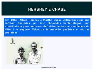 HERSHEY E CHASE

Em 1953, Alfred Hershey e Martha Chase utilizaram vírus que
infetam bactérias, por isso chamados bacteriófagos, que
contribuíram para confirmar definitivamente que a molécula de
DNA é o suporte físico da informação genética e não as
proteínas.




                          Nuno Correia 2012/13
 