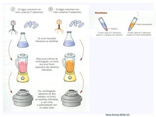 Nuno Correia 2012/13
 
