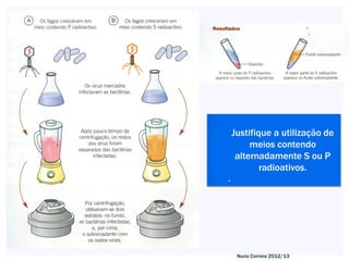 Justifique a utilização de
         meios contendo
     alternadamente S ou P
            radioativos.
.




     Nuno Correia 2012/13
 