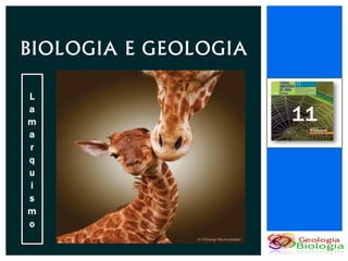 BIOLOGIA E GEOLOGIA

L
a
m                     11
a
r
q
u
i
s
m
o
 