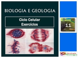 BIOLOGIA E GEOLOGIA
     Ciclo Celular
      Exercícios      11
 