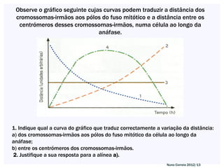 Observe o gráfico seguinte cujas curvas podem traduzir a distância dos
 cromossomas-irmãos aos pólos do fuso mitótico e a distância entre os
  centrómeros desses cromossomas-irmãos, numa célula ao longo da
                                anáfase.




1. Indique qual a curva do gráfico que traduz correctamente a variação da distância:
a) dos cromossomas-irmãos aos pólos do fuso mitótico da célula ao longo da
anáfase;
b) entre os centrómeros dos cromossomas-irmãos.
2. Justifique a sua resposta para a alínea a).
                                                                Nuno Correia 2012/13
 