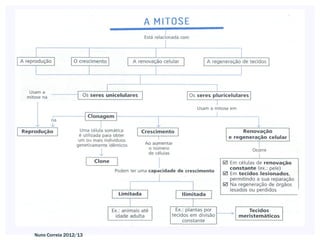 Nuno Correia 2012/13
 