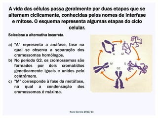 A vida das células passa geralmente por duas etapas que se
alternam ciclicamente, conhecidas pelos nomes de interfase
  e mitose. O esquema representa algumas etapas do ciclo
                          celular.
Selecione a alternativa incorreta.

a) "A" representa a anáfase, fase na
   qual se observa a separação dos
   cromossomas homólogos.
b) No período G2, os cromossomas são
   formados por dois cromatídios
   geneticamente iguais e unidos pelo
   centrómero.
c) "M" corresponde à fase da metáfase,
   na qual a condensação dos
   cromossomas é máxima.



                                     Nuno Correia 2012/13
 