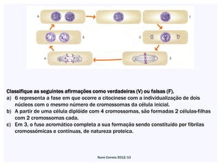 Classifique as seguintes afirmações como verdadeiras (V) ou falsas (F).
a) 6 representa a fase em que ocorre a citocinese com a individualização de dois
   núcleos com o mesmo número de cromossomas da célula inicial.
b) A partir de uma célula diplóide com 4 cromossomas, são formadas 2 células-filhas
   com 2 cromossomas cada.
c) Em 3, o fuso acromático completa a sua formação sendo constituído por fibrilas
   cromossómicas e contínuas, de natureza proteica.



                                    Nuno Correia 2012/13
 