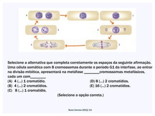 Selecione a alternativa que completa corretamente os espaços da seguinte afirmação.
Uma célula somática com 8 cromossomas durante o período G1 da interfase, ao entrar
na divisão mitótica, apresentará na metáfase ________cromossomas metafásicos,
cada um com________
(A) 4 (...) 1 cromatídio.                        (D) 8 (...) 2 cromatídios.
(B) 4 (...) 2 cromatídios.                       (E) 16 (...) 2 cromatídios.
(C) 8 (...) 1 cromatídio.
                              (Selecione a opção correta.)


                                  Nuno Correia 2012/13
 