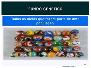 FUNDO GENÉTICO

Todos os alelos que fazem parte de uma
               população .




                                                   10
                            Nuno Correia 2012/13
 