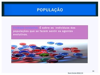 POPULAÇÃO


Unidade evolutiva. É sobre os indivíduos das
populações que se fazem sentir os agentes
evolutivos.




                                                             11
                                      Nuno Correia 2012/13
 