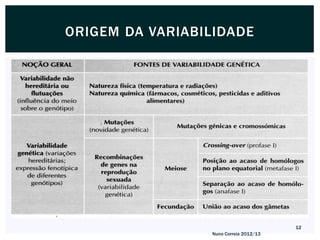 ORIGEM DA VARIABILIDADE




                                        12
                 Nuno Correia 2012/13
 