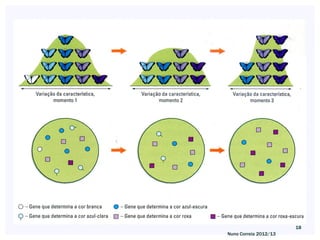 18
Nuno Correia 2012/13
 