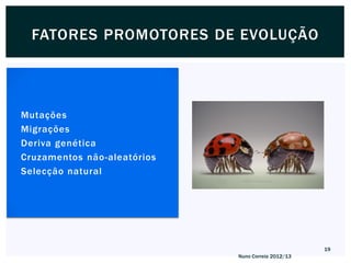 FATORES PROMOTORES DE EVOLUÇÃO




   Mutações
   Migrações
   Deriva genética
   Cruzamentos não-aleatórios
   Selecção natural




                                                        19
                                 Nuno Correia 2012/13
 