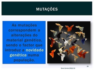 MUTAÇÕES


    As mutações
  correspondem a
    alterações do
 material genético,
 sendo o factor que
introduz a novidade
   genética numa
     população.
                                                 20
                          Nuno Correia 2012/13
 
