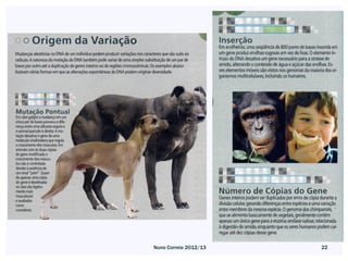 Nuno Correia 2012/13   22
 