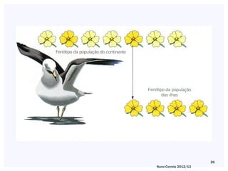 26
Nuno Correia 2012/13
 