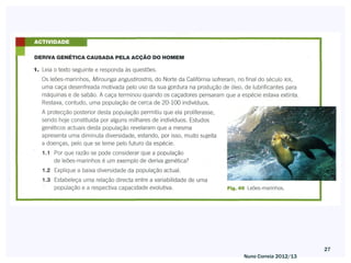 27
Nuno Correia 2012/13
 