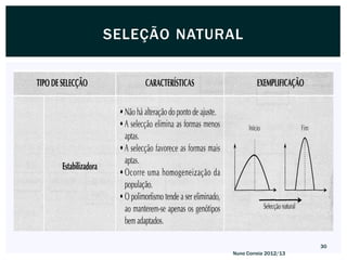 SELEÇÃO NATURAL




                                    30
             Nuno Correia 2012/13
 