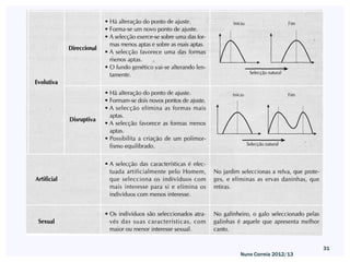 31
Nuno Correia 2012/13
 