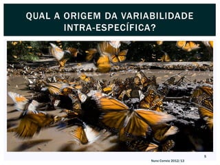 QUAL A ORIGEM DA VARIABILIDADE
       INTRA-ESPECÍFICA?




                                             5
                      Nuno Correia 2012/13
 