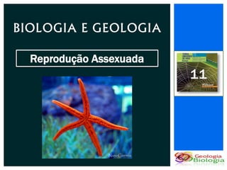 BIOLOGIA E GEOLOGIA

  Reprodução Assexuada
                         11
 