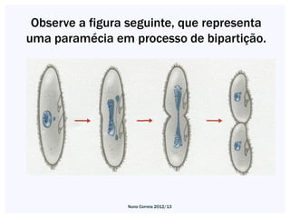 Observe a figura seguinte, que representa
uma paramécia em processo de bipartição.




                 Nuno Correia 2012/...