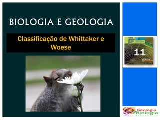 BIOLOGIA E GEOLOGIA
 Classificação de Whittaker e
            Woese
                                11
 