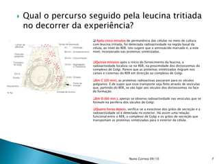  Qual o percurso seguido pela leucina tritiada
no decorrer da experiência?
 Após cinco minutos de permanência das células no meio de cultura
com leucina tritiada, foi detectada radioactividade na região basal da
célula, ao nível do RER. Isto sugere que o aminoácido marcado é, a este
nível, incorporado nas proteínas sintetizadas.
Quinze minutos após o início do fornecimento da leucina, a
radioactividade localiza-se no RER, na proximidade dos dictiossomas do
complexo de Golgi. Parece que as proteínas sintetizadas migram nos
canais e cisternas do RER em direcção ao complexo de Golgi.
Em C (20 min), as proteínas radioactivas passaram para os séculos
golgianos. É de supor que esse transporte seja feito através de vesículas
que, partindo do RER, se vão ligar aos séculos dos dictiossomas na face
de formação.
Em D (60 min.), apenas se observa radioactividade nas vesículas que se
formam na periferia dos sáculos de Golgi.
Quatro horas depois, verifica-se a exocitose dos grãos de secreção e a
radioactividade só é detectada no exterior. Há assim uma relação
funcional entre o RER, o complexo de Golgi e os grãos de secreção que
transportam as proteínas sintetizadas para o exterior da célula.
7Nuno Correia 09/10
 