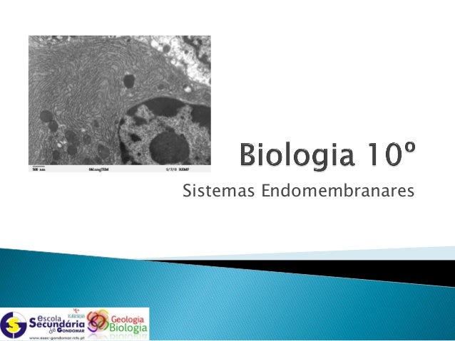 Sistemas Endomembranares
 